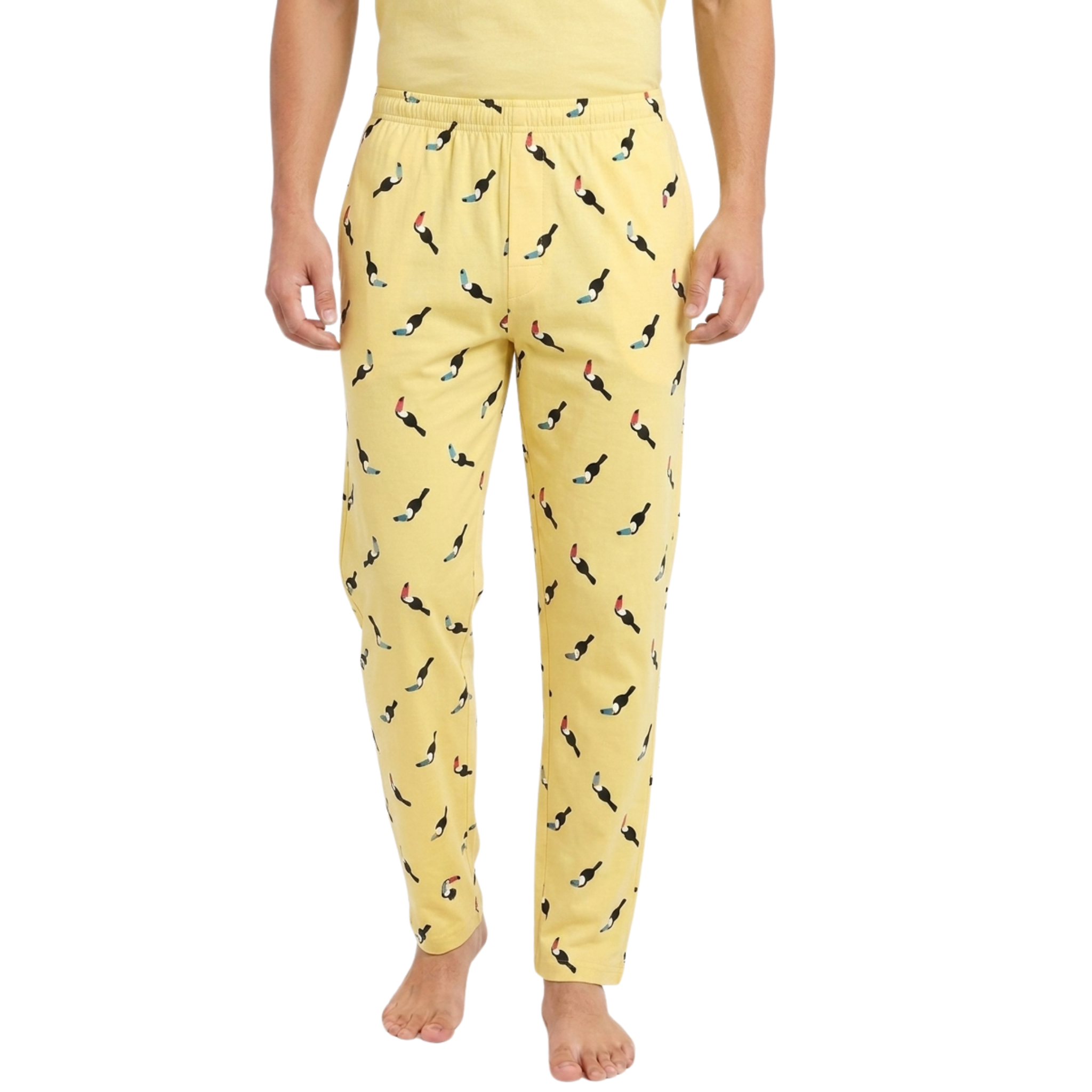 Tropical Toucan